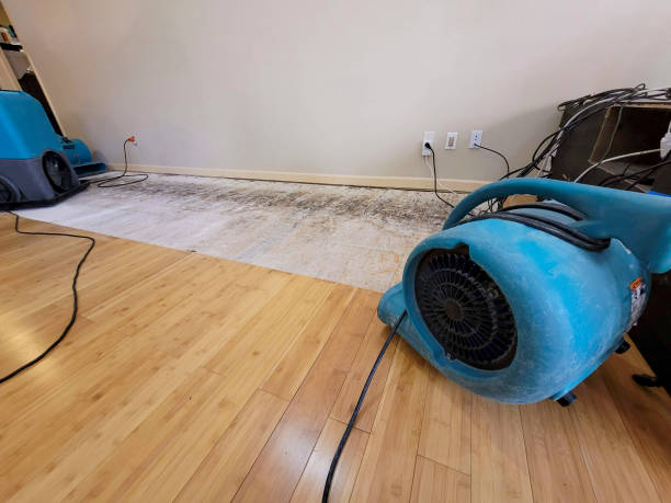 Professional Ceiling Water Damage Repair technician working in Independence, WV
